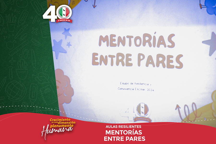 MENTORIAS ENTRE PARES 2024