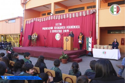 excelencia 2019