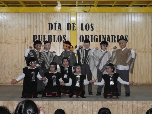 Pueblos originarios cso 2018